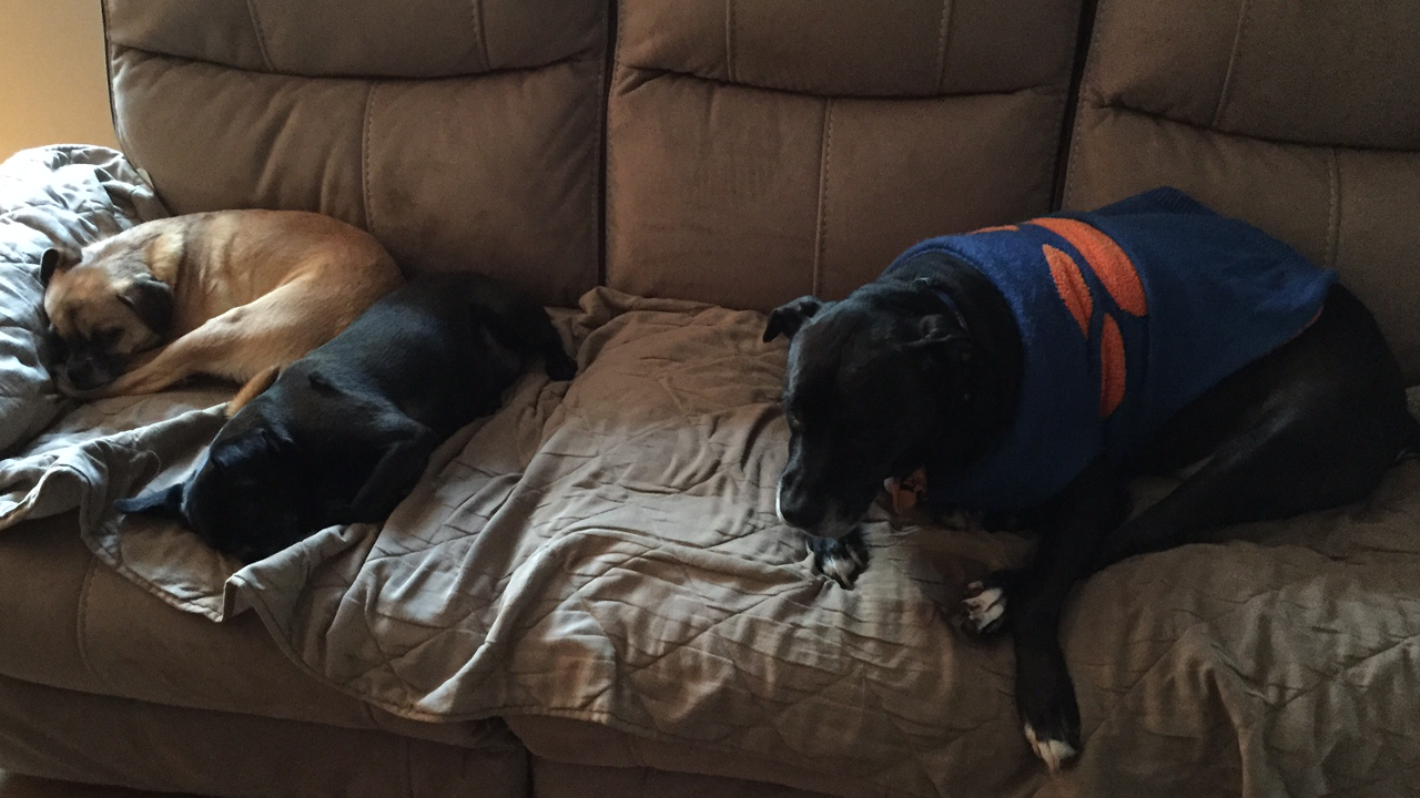 The Final Wager – December 28, 2015