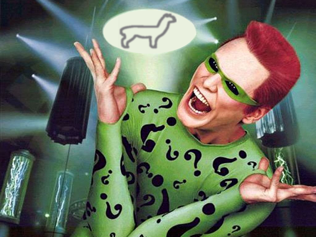 KWM11riddler
